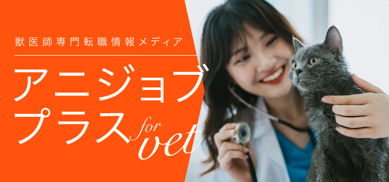 アニコムのがんばる獣医師のための転職情報サイト【アニジョブプラス】